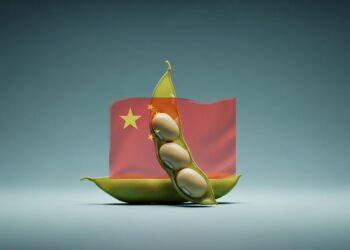 Goldman Sachs ชี้นโยบายอาหารจีนเตรียมลดนำเข้า soybean เหลือ 30% ใน 10 ปี สะเทือนตลาดโลก